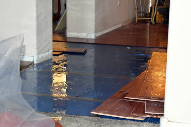 Professional Burst Pipe Cleanup technician working in Frost, MN
