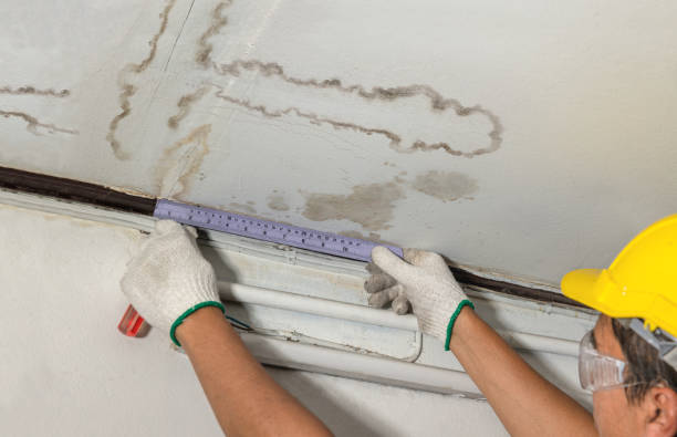 Reliable Burst Pipe Cleanup contractor in Frost, MN by Water Damage Irwin